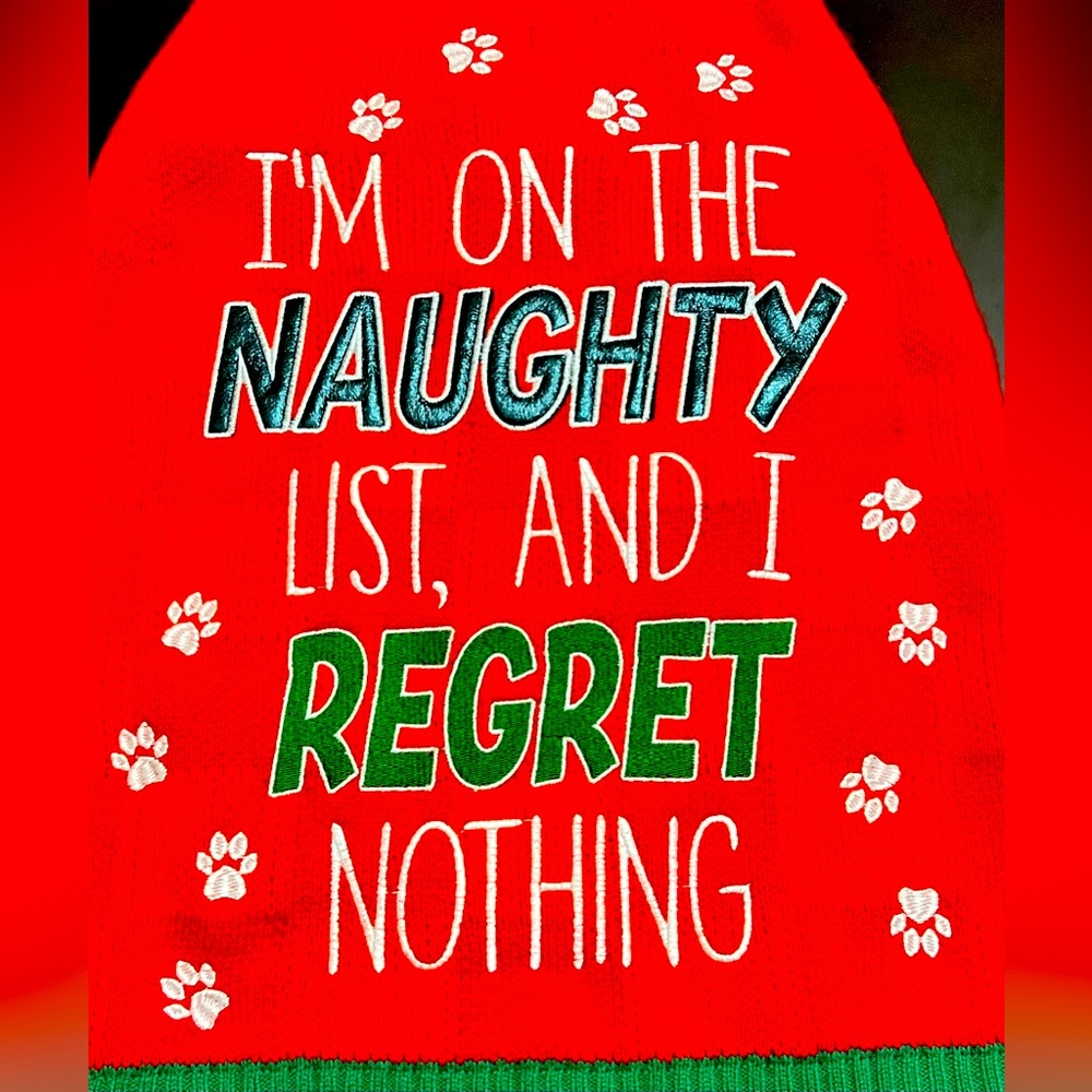 Fur Baby Christmas Sweater - Size L